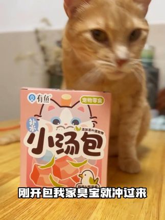 这有鱼小汤包包直接封神!没有猫咪不爱的 #宠物必备 #补水神器 #猫咪零食