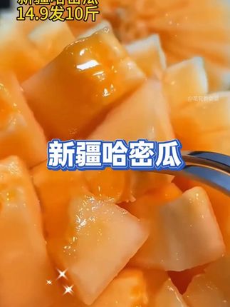 #新疆哈密瓜 #新鲜采摘 #哈密瓜