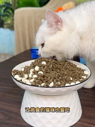 属于幼猫的蓝氏乳鸽奶糕猫粮,夹心猫粮加乳基冻干, 猫咪爱吃还贴合猫母乳的营养#蓝氏猫粮 #新手养猫 #幼猫粮