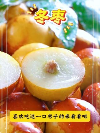 吃过陕西的大荔冬枣 其他品种的冬枣你都不会先吃了 脆甜多汁 枣香浓郁 真的巨甜巨好吃阿#冬枣 #新鲜应季水果 #大荔冬枣 #枣 #陕西大荔冬枣