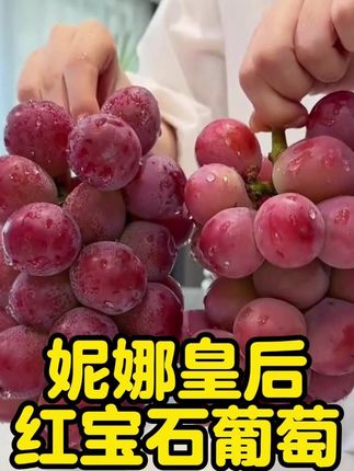 #优质农产品 #应季水果 #快来一起尝个鲜 #你吃过吗 #好吃到爆