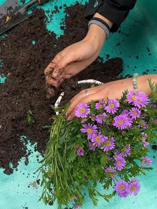 #园艺地垫 园艺地垫家庭种植换土垫翻盆拌土阳台防水养花垫多肉 #防水地垫 #换土地垫 #阳台地垫 #多肉地垫