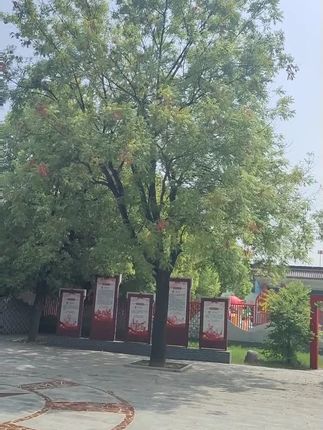 水滴形双眼皮贴你是我的神!再也不怕贴出来双眼皮会被眼尾吃掉了!直接扩宽眼尾放大双眼效果绝了#今日妆容 #平价彩妆 #女大学生 #日常唠嗑