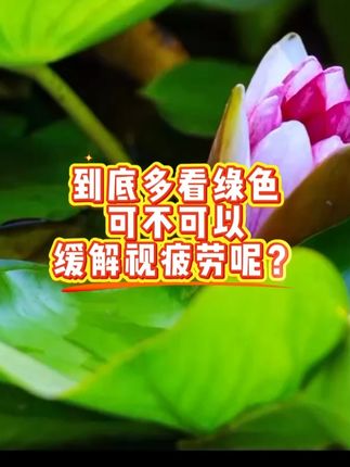 多看绿色可以缓解视疲劳?专家:什么颜色都无关紧要,距离最重要!