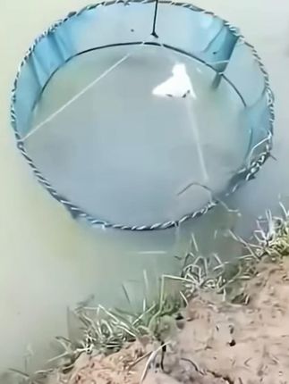 开放式折叠捕鱼笼虾笼黄鳝鱼网抬网搬网抬网渔网龙虾网抓鱼搬筝网#捕鱼笼 #黄鳝鱼网 #渔网 #捕鱼笼推荐 #渔具用品 #开放式折叠捕