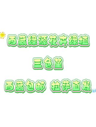 西藏包邮绿植·三色堇多肉 #西藏包邮哥 #西藏绿源花卉绿植 #三色堇