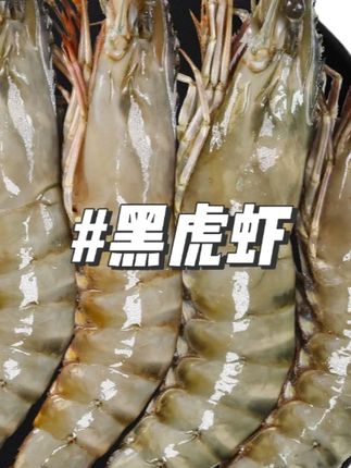 黑虎虾高品质海水大虾新鲜500g/盒多规格#黑虎虾 #新鲜虾 #好吃虾 #视频同款 #好物推荐
