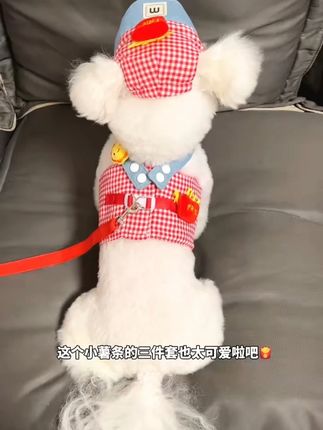 宠物狗狗猫咪鸭子装备套帽子胸背外出牵引用品春夏透气狗狗衣服#宠物用品 #春夏装备 #宠物外出 #狗狗衣服 #猫咪装备