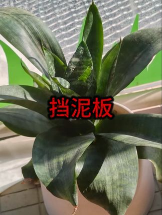 【红旗专用】红旗H5/HS5/H7/HS3专车专用挡泥板原装前后轮挡泥板瓦 #挡泥板 #专车专用挡泥板 #前后轮挡泥板