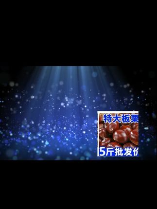 #厂家直发品质保证 #板栗 #好物推荐 #便宜便宜真便宜