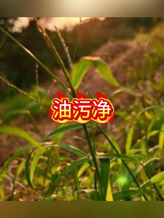 给力妈妈油污净油烟机清洗厨房强力去油污清洁剂#清洁剂 #清洁神器 #油污净 #油污净一喷一擦 #厨房清洁