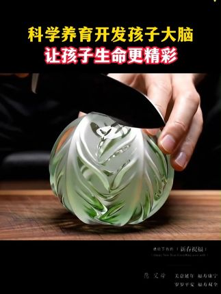 可爱又难缠的两岁半,就只有这一个听话密码 。#育儿 #父母课堂 #早教 【2-6岁】全脑开发思维训练 #育儿经验分享