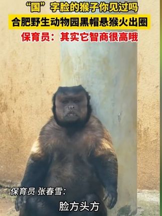 #穿搭 #显瘦穿搭 #小个子穿搭 #夏季穿搭 #裤子 mjjd14