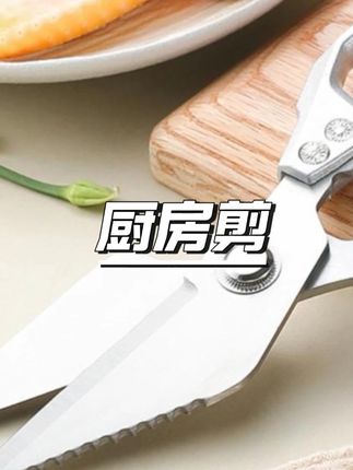 许小阳【视频同款】强力鸡骨剪刀加厚加长加大银燕多功能鱼骨剪骨刀 #厨房神器 #美食制作 #厨具 #烹饪技巧 #居家好物