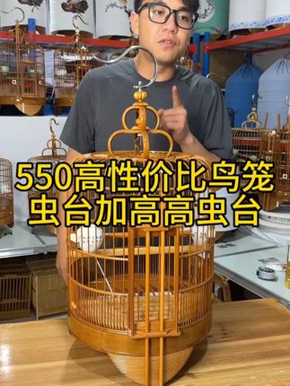 550高性价比广西底鸟笼#鸟笼 #广笼 #养鸟 #养鸟经验分享 #鸟类