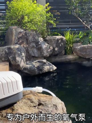 森森珍选鱼池增氧泵户外锦鲤池养鱼静音氧气泵防雨淋大气量爆氧机 #增氧泵  #爆氧机 #养鱼氧气泵  #增氧泵户外 #养鱼好物