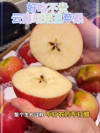 头茬#丑苹果 苹果味巨浓郁!脆甜脆甜的好好吃!#云南昭通丑苹果 #苹果