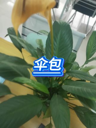 加厚渔具包 #渔具包 #钓鱼 #收纳包