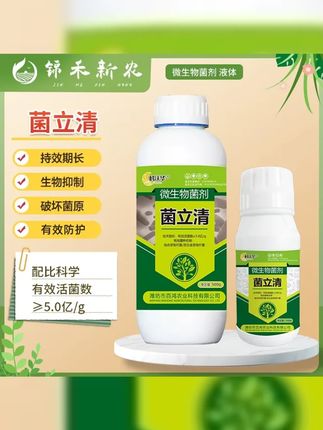 菌立清根腐白粉灰霉叶斑番茄辣椒黄瓜炭疽液体喷施微生物菌剂肥料 #增产增收 #农业种植 #农资肥料 #菌立清