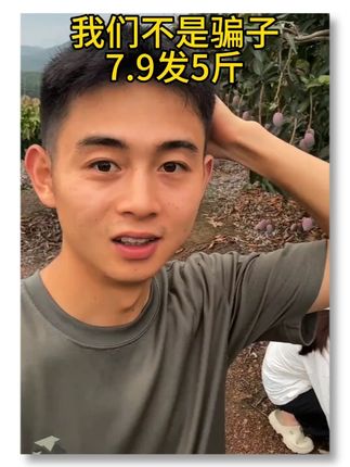 #贵妃芒