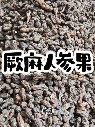 蕨麻精选新货人参果 厥麻人参果 蕨麻散装干货叶菜100g-2 #好物分享 #厥麻人参果 #热点宝 #滋补品