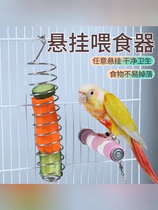 【奇妙妙】鹦鹉水果叉蔬菜玉米苹果喂食器鸟觅食器小宠丹凤喂食用具 #鹦鹉喂食器 #水果叉喂具 #蔬菜喂食器 #鸟觅食器 #小宠喂食用具