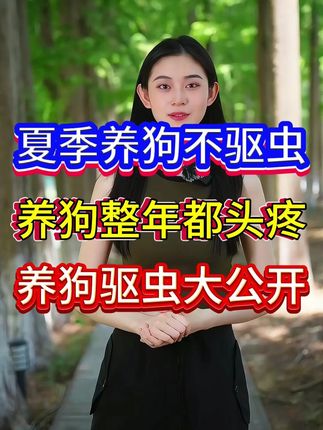 夏季养狗不驱虫,养狗整年都头疼,养狗驱虫大公开#狗 #驱虫 #狗驱虫 #养狗人 #养狗的乐趣