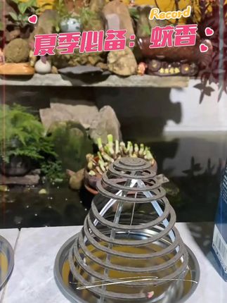 蚊香 #蚊香 #防蚊必备 #夏季必备