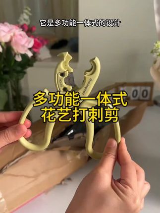 这么一个东西代替了剪刀和打刺钳两样东西,真方便 #打刺钳 #花艺师剪刀 #花艺剪刀 #剪刀 #好物分享
