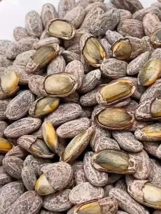 新货正宗酥脆罐装大颗粒大瓜子,零食坚果奶油味吊瓜子,颗粒饱满,粒粒酥脆,越嚼越过瘾 #吊瓜子# 妈呀太香了 #追剧小零食