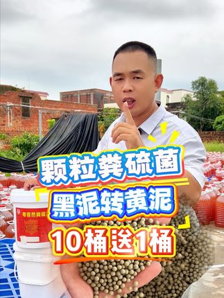 水产养殖出现黑泥,发臭问题,选择颗粒粪硫菌改底!#小龙虾养殖#南美白对虾#水产养殖#鱼虾蟹养殖#螃蟹养殖