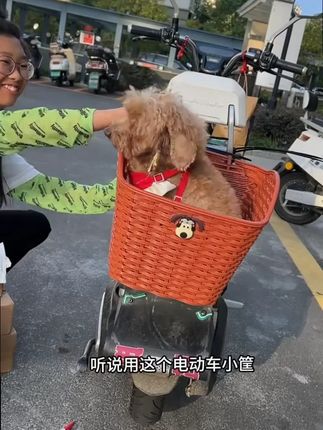 电动车后置储物筐,卡通造型,便捷装载,防水耐用! #储物神器 #卡通风格 #菜篮子 #分享爱用物 #电动车配件