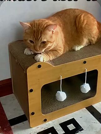 特大猫窝猫抓板一体封闭式耐磨屑不掉四季通用猫屋冬季幼猫床沙发 #新手养宠 #萌宠好物 #萌宠日记