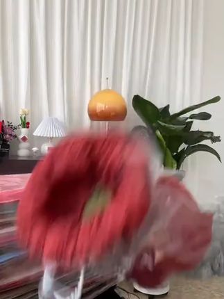 佷好用的雪奈纸压不扁煮不烂雪奈纸 #雪奈纸