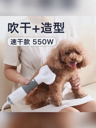 宠佰嘉宠物吹风机狗狗吹风拉毛一体机大功率速干猫咪洗澡梳毛神器#宠物用品 #宠物吹风机 #狗狗猫咪 #速干 #梳毛神器