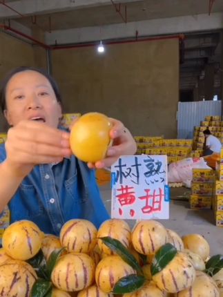 盛果邻 云南石林人参果圆果黄肉树上熟精选黄肉大果多汁新鲜水果 #云南石林人参果 #人参果 #树上熟人参果 #新鲜水果 #皮薄肉厚