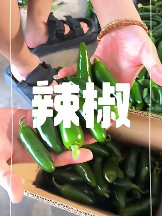 东北港椒嘎嘎辣的过瘾 #抖音美食推荐官 #辣椒 #港椒 #辣的过瘾