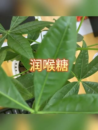 润喉糖 #润喉糖 #办公室零食 #零食 #糖果 #薄荷糖