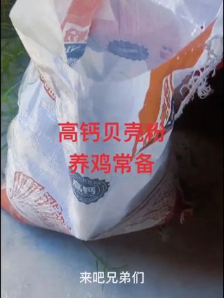 想要母鸡下蛋多,蛋壳质量好,公鸡脚蹬子长得快,贝壳粉少不了 8.8发5斤,喂鸡粗的细的粉末状的如何挑选 #创作灵感 #养鸡人 #捡鸡蛋的幸福生活 #贝壳粉喂鸡 #农村创业养殖 @抖加🔥上热门🔥dou+🔥热点宝