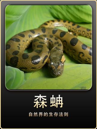 神秘又恐怖的亚马逊到处都是危险 其中森然蚺家族才是最致命的 #动物世界 #动物科普 #野生动物零距离 #亚马逊