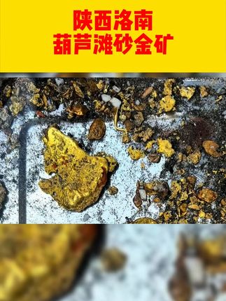 陕西洛南葫芦滩砂金矿。数据来源于公开地质报告及矿产资源规划,储量和厚度为预估或历史勘探数据,实际以最新勘查结果为准#淘金#黄金#户外