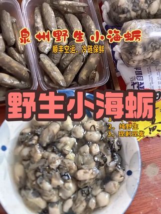 福建特产新鲜现剥不泡水海蛎肉牡蛎肉去壳生蚝肉海鲜蚵仔煎卤面 #野生小海蛎 #小海蛎 #快来一起尝个鲜 #好食材好味道 #好吃到停不下来