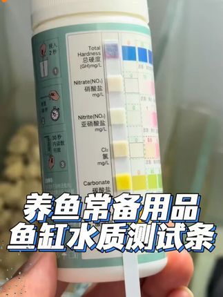 沃韦朗测试棒水质GH氨氮NO3亚硝酸盐pH测试试纸NO2检测试剂KH快速#水质测试棒 #沃韦朗 #水质检测 #检测试剂 #养鱼必备