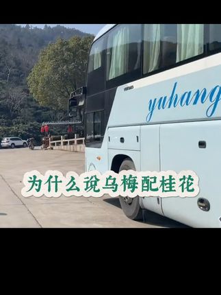 #酸梅汤#夏季养生#养生