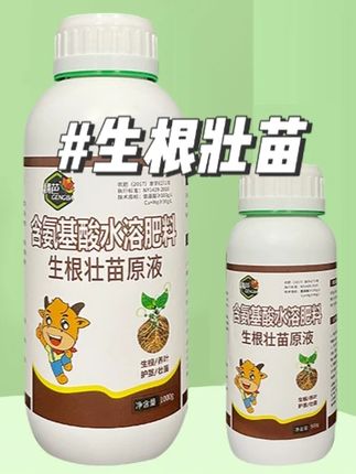 生根壮苗原液 想要三角梅开花不断,养根很重要,可以用这个氨基酸,它是一款有机肥,不烧根不烧苗,换盆当天就可以直接使用,可以提高换盆成活率。#三角梅  #养花小知识 #水溶肥 #植物肥料  #我的花花草草🌸🌸