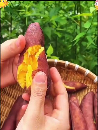 吃一次就会爱上的 天目山小香薯 出锅啦 皮薄无茎 粉糯香甜 早餐晚餐蒸两个又好吃有营养#粉糯香甜 #小香薯