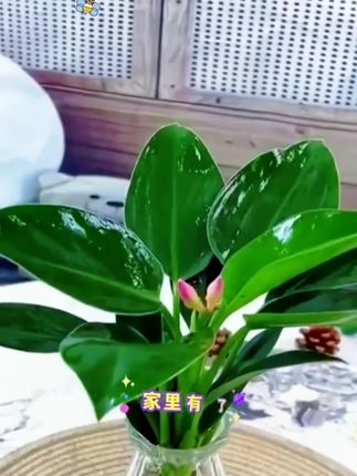 这就是后妈的爱! #家庭短剧