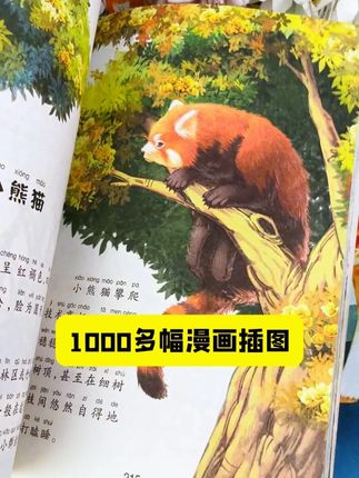 2-12岁的孩子,理解力初具雏形,我们要保护孩子的好奇心,满足他们的求知欲