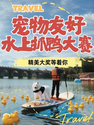 国庆去哪,来南海湾森林生态园抓鸭子#国庆假期被安排明白了 #国庆 #南海湾森林生态园 #假期 #南海湾
