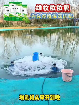 小颗粒大放氧,防范突发情况的发生! #水产养殖 #鱼虾蟹养殖 #四大家鱼养殖 #好物推荐 #水产人